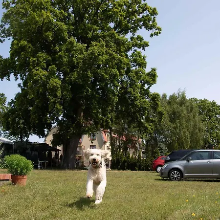 I Pod Debem Pensjonat